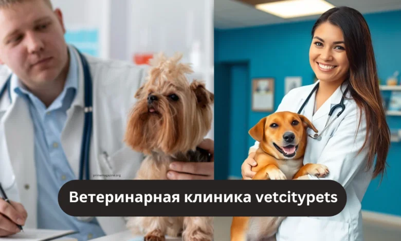 ветеринарная клиника vetcitypets